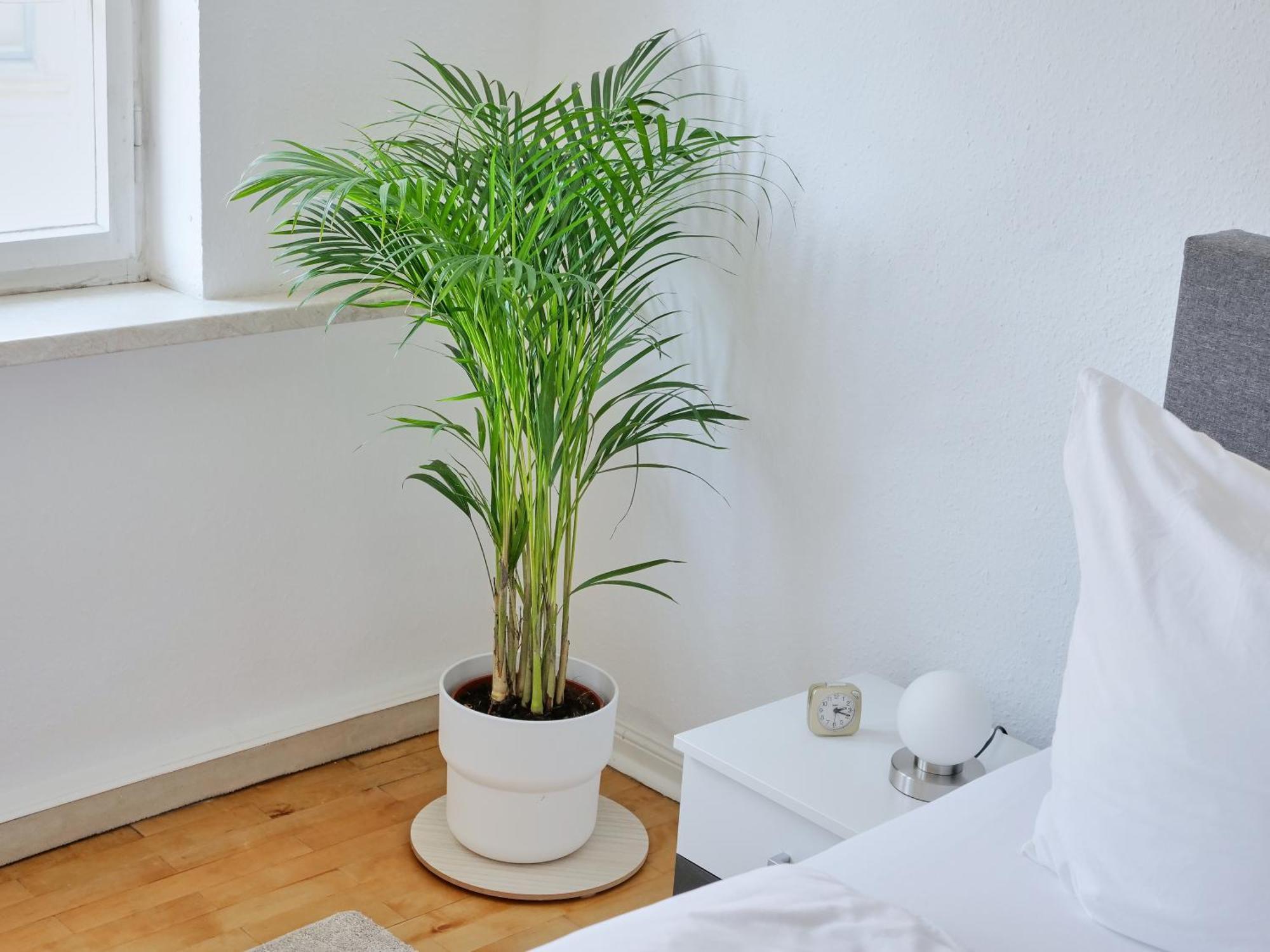 Appartement Dom III - Erfurt Domplatz Экстерьер фото
